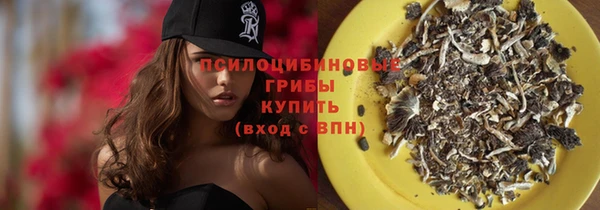 apvp Алзамай
